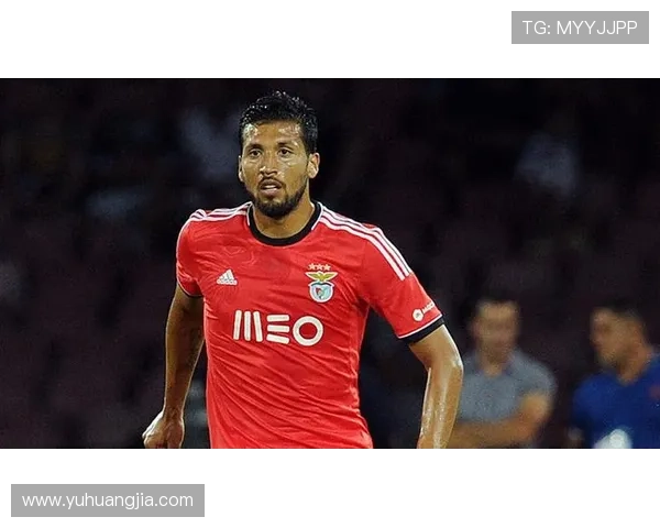 本菲卡考虑免签格雷罗 关注年龄与伤病风险 本菲卡考虑免签格雷罗 关注年龄与伤病风险